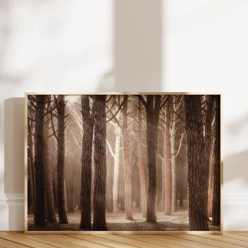 Tablou decorativ, 108355, LEMN SOLID, Fata: 100% PVC STICLA, Multicolor imagine