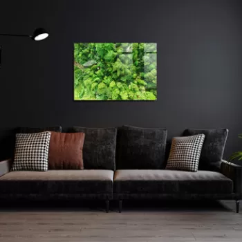 Tablou decorativ, 1172, Sticla temperata, 70 x 100 cm, Multicolor imagine