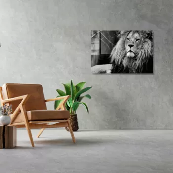 Tablou decorativ, 1329, Sticla temperata, 30 x 45 cm, Multicolor imagine