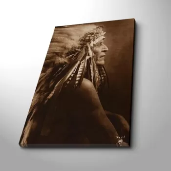 Tablou decorativ, 4570NTVC-1, Canvas, Dimensiune: 45 x 70 cm, Multicolor imagine
