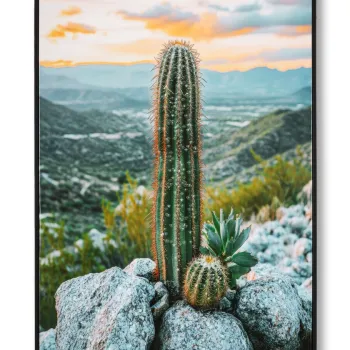 Tablou decorativ Cactus -H, Mauro Ferretti, 60x90 cm, canvas/lemn de pin/plastic, multicolor imagine