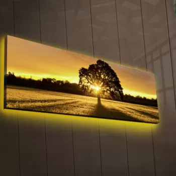 Tablou decorativ cu lumina LED, 3090DACT-68, Canvas, 30 x 90 cm, Multicolor imagine