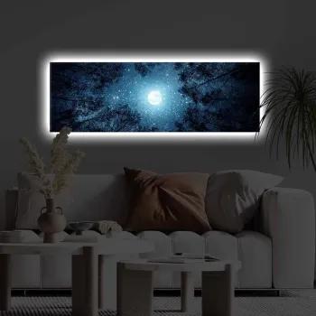Tablou decorativ cu lumina LED, 3090KTLGDACT, 30 x 90 cm, Multicolor imagine