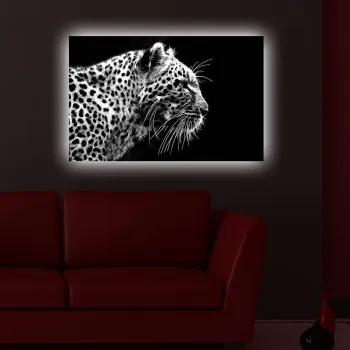 Tablou decorativ cu lumina LED, 4570DACT-44, Dimensiune: 45 x 70 cm, Multicolor imagine
