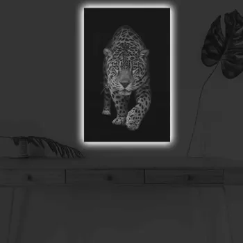 Tablou decorativ cu lumina LED, 4570DHDACT-055, Dimensiune: 45 x 70 cm, Multicolor imagine