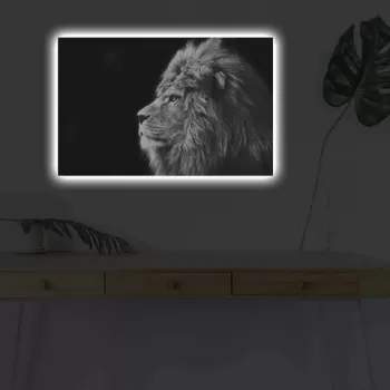 Tablou decorativ cu lumina LED, 4570DHDACT-058, Canvas, Dimensiune: 45 x 70 cm, Multicolor imagine