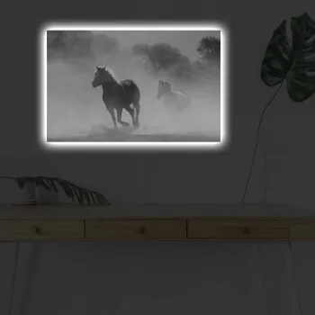 Tablou decorativ cu lumina LED, 4570DHDACT-125, Dimensiune: 45 x 70 cm, Multicolor imagine