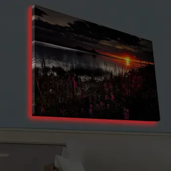 Tablou decorativ cu lumina LED, 4570HDACT-002, Dimensiune: 45 x 70 cm, Multicolor imagine