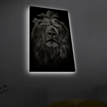 Tablou decorativ cu lumina LED, 4570MDACT-058, Dimensiune: 45 x 70 cm, Multicolor imagine