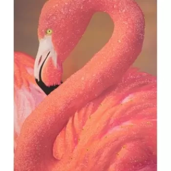 Tablou decorativ Flamingo -A, Mauro Ferretti, 80x120 cm, canvas, multicolor imagine