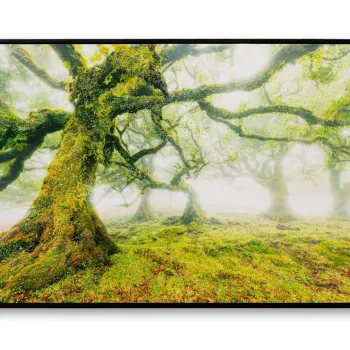 Tablou decorativ Forest, Mauro Ferretti, 60x90 cm, canvas/lemn de pin/plastic, multicolor imagine