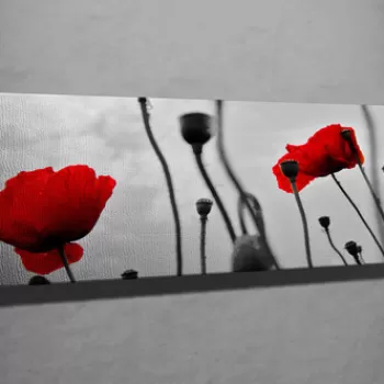 Tablou decorativ, PC048, Canvas, 30 x 80 cm, Multicolor imagine