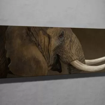 Tablou decorativ, PC058, Canvas, 30 x 80 cm, Multicolor imagine