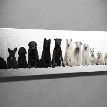 Tablou decorativ, PC152, Canvas, Lemn, Multicolor imagine