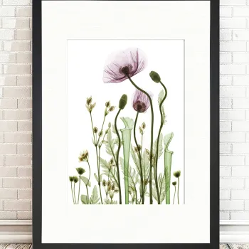 Tablou decorativ Wild Plants, Tablo center, 24x29 cm, MDF, multicolor imagine