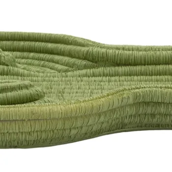 Vas decorativ Cactus, Mauro Ferretti, 34x3x20 cm, polirasina, verde imagine
