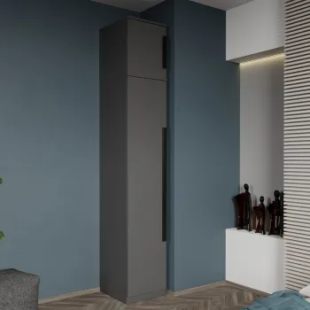 Dulap dormitor 1 usa Gri 41 x 240,3 cm - Dallas imagine