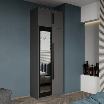 Dulap dormitor 2 usi Gri+oglinda 83 x 240,3 cm - Dallas imagine