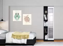 Dulapuri de haine si dressinguri imagine