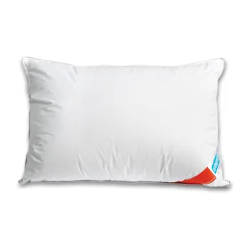 Perna cu puf si pene de gasca 50x70 imagine