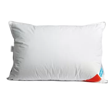 Perna cu puf si pene de gasca 50x70 imagine