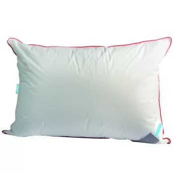 Perna din puf de gasca 50x70 imagine