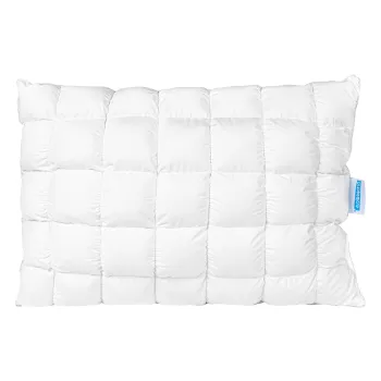 Perna Silver cu nanofibre si husa 100% bumbac 50x70 cm imagine