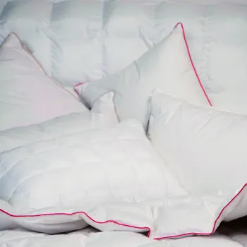 Perne si pilote imagine