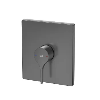 Baterie dus Roca Insignia cu montaj incastrat necesita corp ingropat brushed titanium black imagine