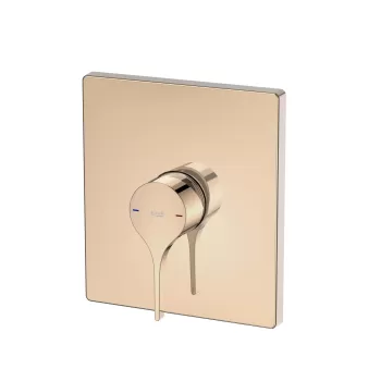 Baterie dus Roca Insignia cu montaj incastrat necesita corp ingropat rose gold imagine