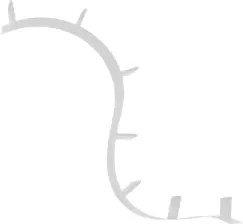 Biblioteca Kartell Bookworm design Ron Arad 7 rafturi 320cm aluminiu imagine