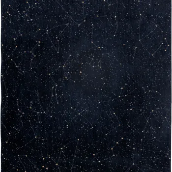 Covor Christian Fischbacher Celestial  colectia Neon  140x200cm  Night Sky imagine