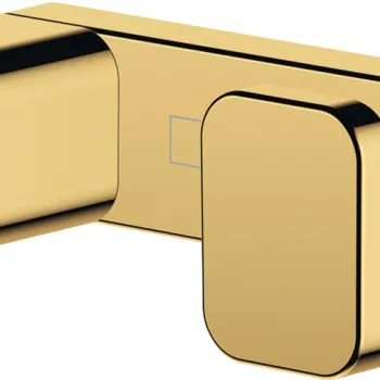 Cuier baie dublu Hansgrohe AddStoris gold optic lustruit imagine