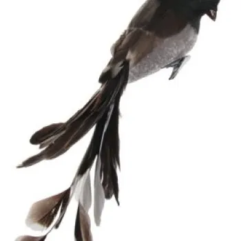 Decoratiune Deko Senso Feather Bird 25cm maro imagine
