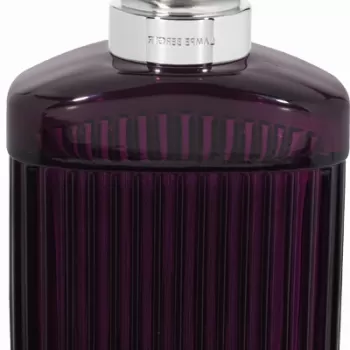 Lampa catalitica Berger Alpha Prune imagine