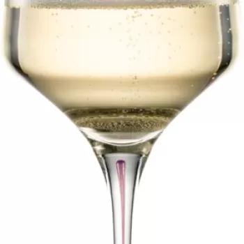 Pahar vin spumant Zwiesel Glas Ink handmade cristal Tritan 400ml albastru imagine