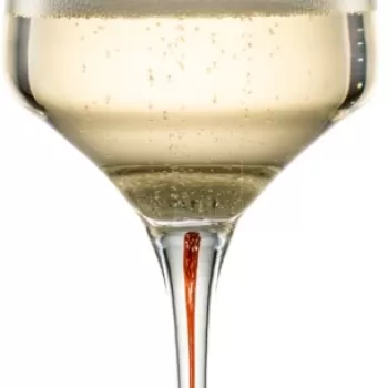 Pahar vin spumant Zwiesel Glas Ink handmade cristal Tritan 400ml rosu antic imagine