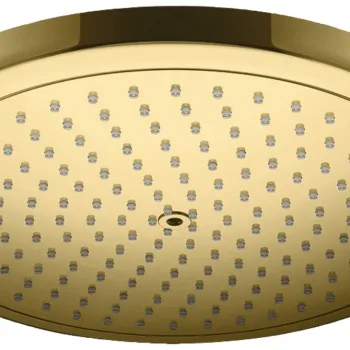 Pare si furtunuri de dus imagine