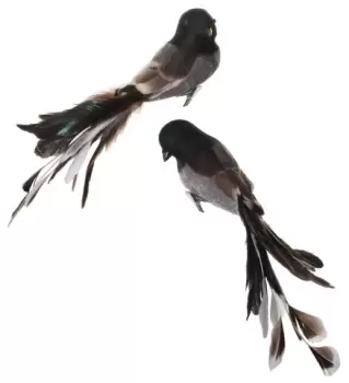 Set 2 decoratiuni Deko Senso Feather Bird 25cm maro imagine