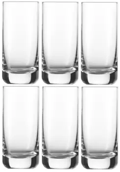 Set 6 pahare bere Schott Zwiesel Convention 345ml imagine