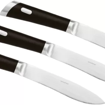 Set cutite friptura Sambonet T-Bone Smooth Blade 3 piese imagine