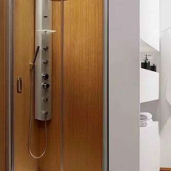 Usa de nisa culisanta Radaway Premium Plus DWJ 120 imagine