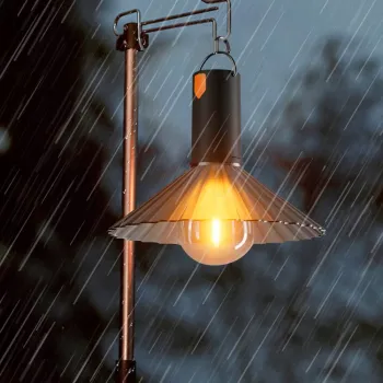 Pret maxim 50 lei imagine