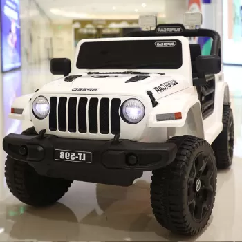 Lichidare de stoc imagine