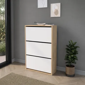 Pantofar cu usa rabatabila si rafturi glisante, 3 compartimente, PAL melaminat de 18 mm, 110  x 73,5  x 22 cm imagine