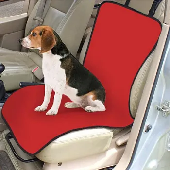 Ingrijire animale imagine