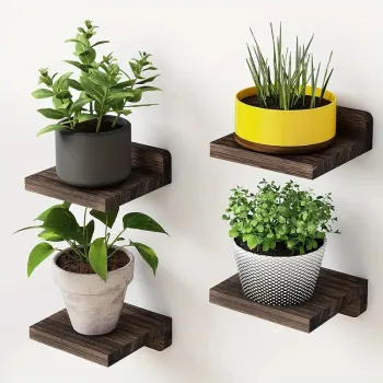 Set 4 polite pentru ghivece sau obiecte decorative imagine
